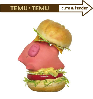 TEMU+TEMU